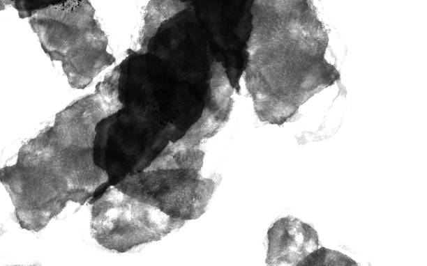 istock grunge ink splash splatter brush dots isolated on white illustration background 1096799564