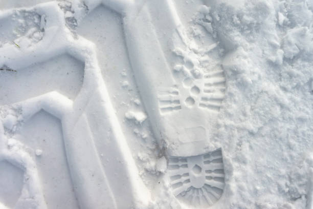 istock Heavy duty tracks in snow with a boot print 1096807192