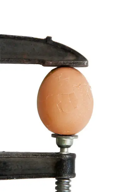 Photo of Egg cracked between a clamp (isolated) - symbol for being under pressure or stress