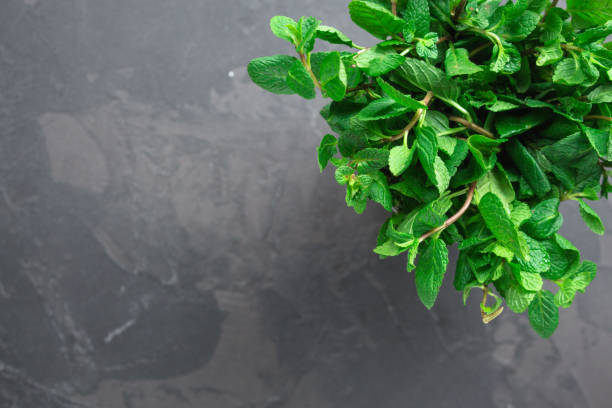 istock mint (fresh and juicy green grass). aroma. Top .. Food background 1096830928
