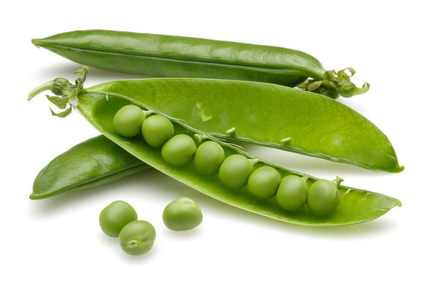 petits pois verts frais sur fond blanc - vegetable green close up agriculture photos et images de collection