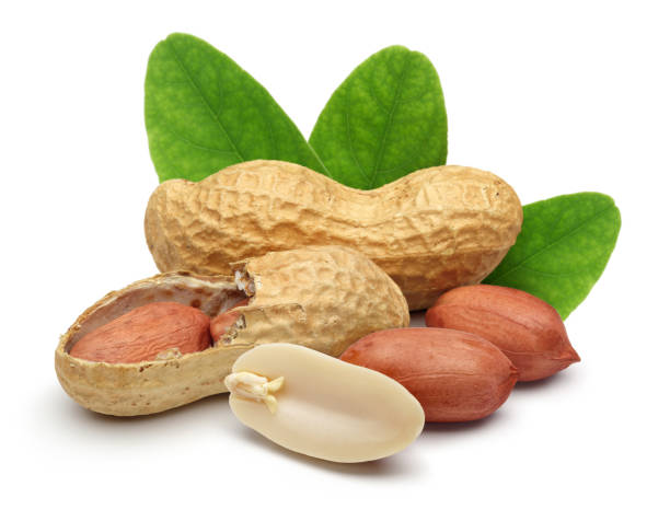 арахис и листья на белом �фоне - peanut стоковые фото и изображения
