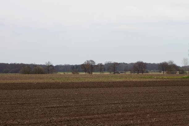 istock View on cultivated brown fields in rhede emsland germany 1096845684