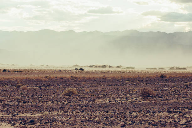 istock Scenic View Of Field Against Sky 1096848194
