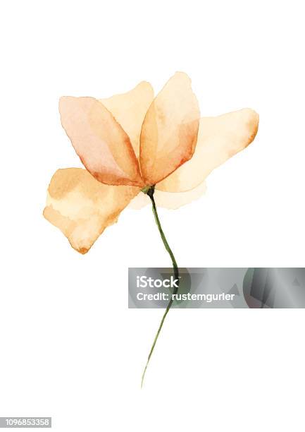 Vector Watercolor Flower Stock Illustration - Download Image Now - Flower, Watercolor Painting, Abstract