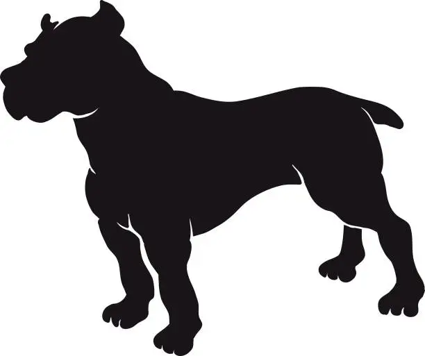 Vector illustration of Pitbull Dog . Silhouette