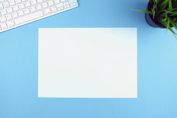 istock Compact white wireless keyboard on a blue backgroundwith a plant and sheet of paper. Copy space. 1096856570