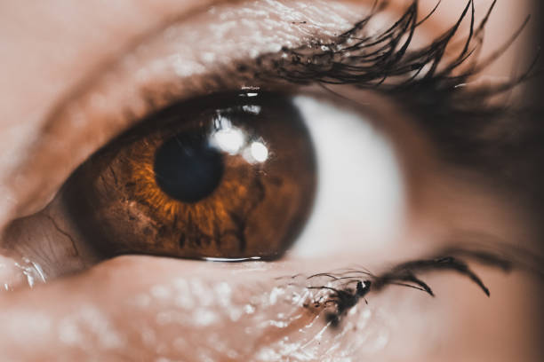 istock woman brown eye 1096866836