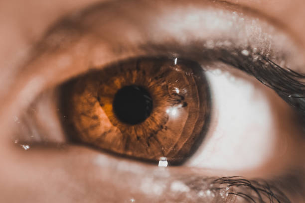 istock woman brown eye 1096866880