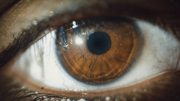 istock woman brown eye 1096866960
