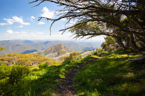 istock Mount Buller Walking and Biking Trails in Summer 1096869128