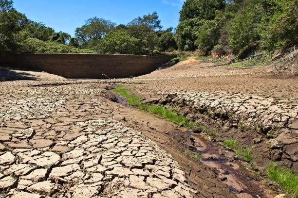 Drought concept image consisting of a dry dam in South Africa. Drought concept image consisting of a dry dam in South Africa. dry riverbed stock pictures, royalty-free photos & images