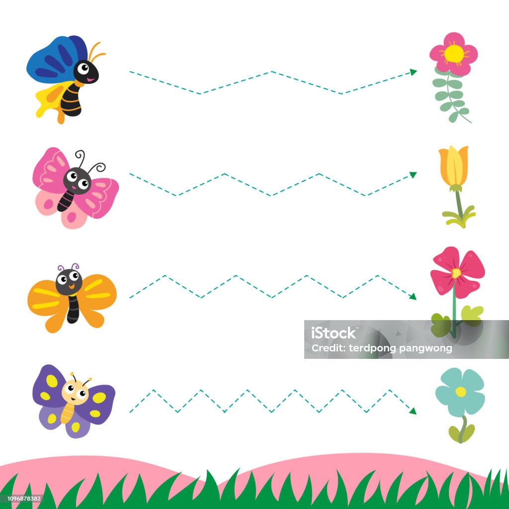 butterfly worksheet vector design Animal stock vector