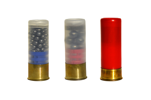 Shotgun bullet size 12