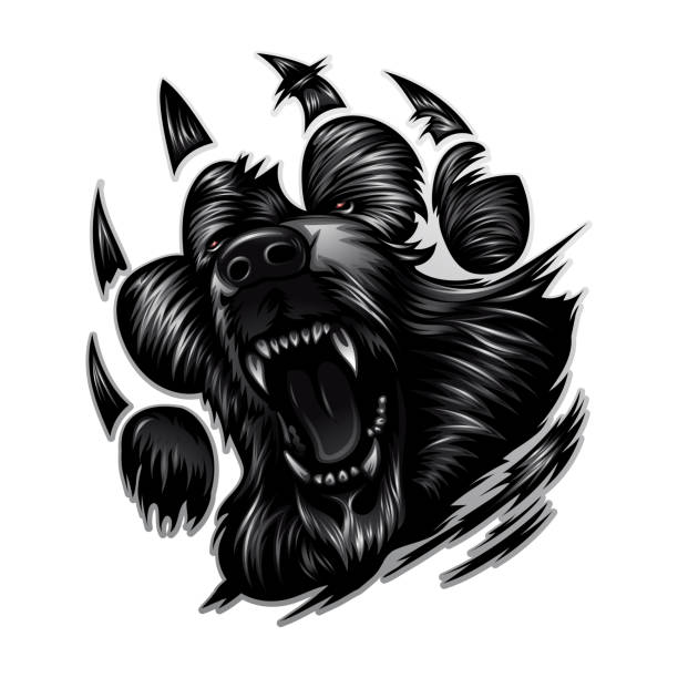 Bear Slashing 1,400+ Fierce Bear Mascot Stock Photos, Pictures & Royalty-Free Images ...