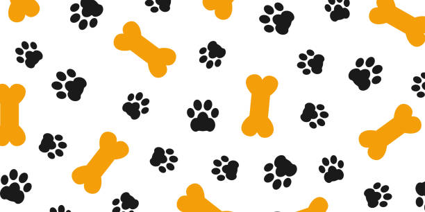 illustrations, cliparts, dessins animés et icônes de trace noire de motif patte de chien avec des empreintes de patte et os, fond os chien isolé illustration cartoon répéter fond d’écran – stock vector - dachshund dog small canine