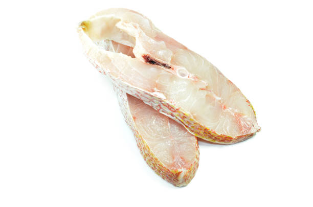 istock Red snapper fish fillet isolated 1096906058