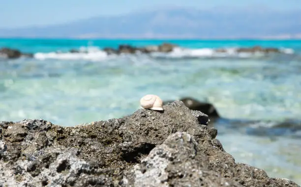 Photo of Beautiful beach with crystal clear