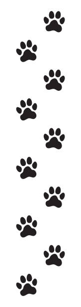 동물 (개, 고양이) 발 인쇄 - snow footprint winter animal track stock illustrations