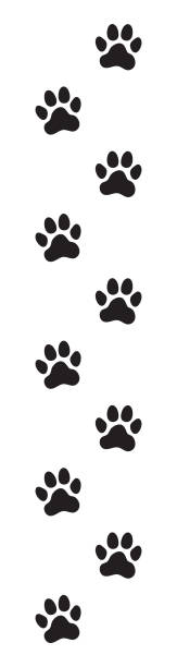 Animal (dog, cat) paw prints Animal (dog, cat) paw prints. Icon. Vector illustration. allegory painting illustrations stock illustrations