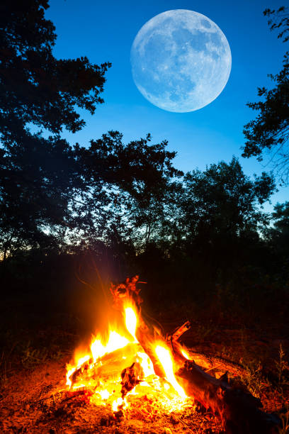 turístico campamento fuego en un bosque en el crepúsculo y la luna sobre - stike fotografías e imágenes de stock