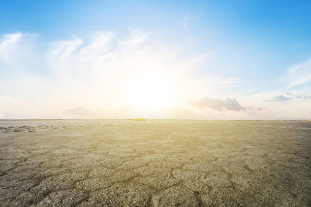 istock dry saline desert in a cracks scene at the sunset 1096913224
