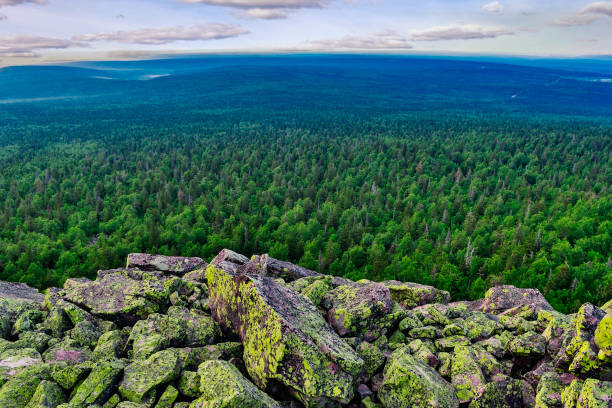istock view from the high mountains to the taiga 1096916610