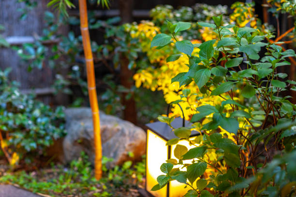istock Japanese style garden 1096916926