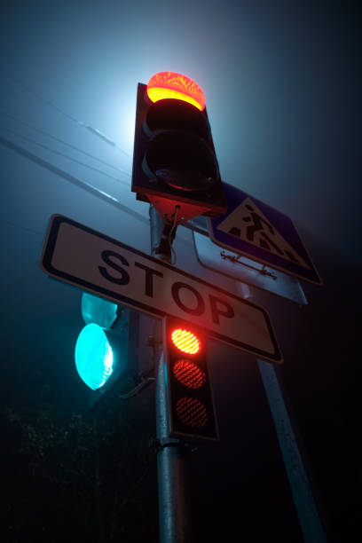 istock Traffic lights with crosswalk sign in night 1096916974