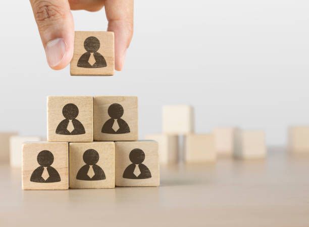 istock Hand arranging wooden blocks stacking as a pyramid staircase on white background. Human resources management, recruitment or corporate hierarchy concept. 1096919232