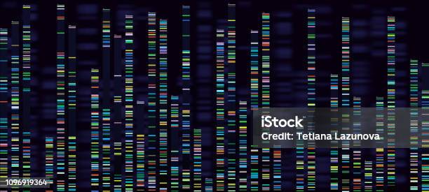 Visualizzazione Dellanalisi Genomica Sequenziamento Dei Genomi Del Dna Mappa Genetica Dellacido Deossiribonucleico E Concetto Di Vettore Di Analisi Della Sequenza Genomica - Immagini vettoriali stock e altre immagini di DNA