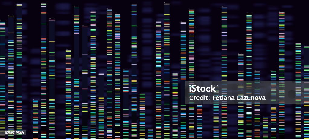 Visualização de análise genômica. Genomas de DNA de sequenciamento, mapa genético de ácido desoxirribonucleico e sequência do genoma analisam o conceito de vetor - Vetor de DNA royalty-free