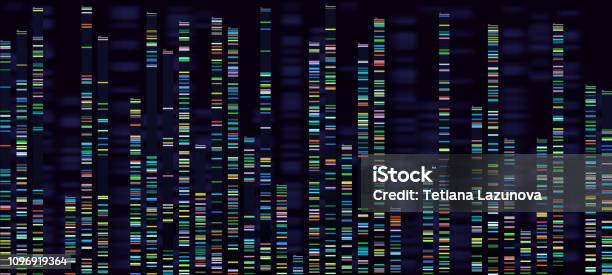 Vetores de Visualização De Análise Genômica Genomas De Dna De Sequenciamento Mapa Genético De Ácido Desoxirribonucleico E Sequência Do Genoma Analisam O Conceito De Vetor e mais imagens de DNA