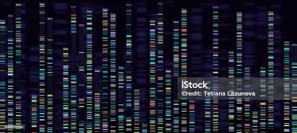 Genomic analysis visualization. Dna genomes sequencing, deoxyribonucleic acid genetic map and genome sequence analyze vector concept Genomic analysis visualization. Dna genomes sequencing, deoxyribonucleic acid genetic map and genome sequence analyze. Bioinformatics forensics data or dna radiographic testing vector concept DNA stock vector