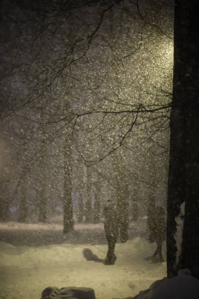 Little nightly blizzard in Moscow. The thaw ended with a sudden snowfall and wind.