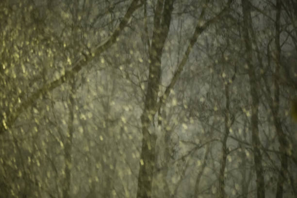istock Snow in the city 1096919638
