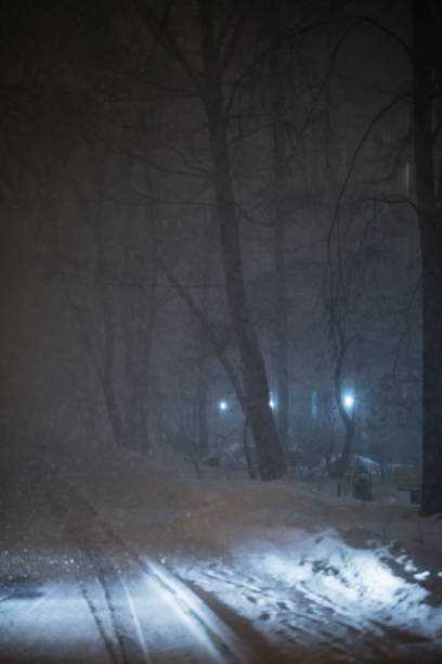 istock Snow in the city 1096920380