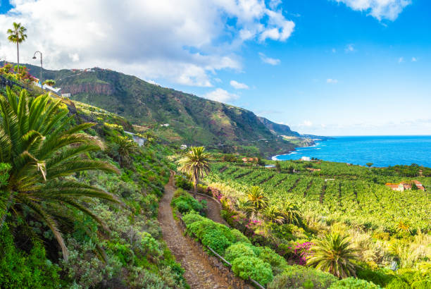 landschap met de kust van noord tenerife, canarische eiland, spanje - tenerife stockfoto's en -beelden