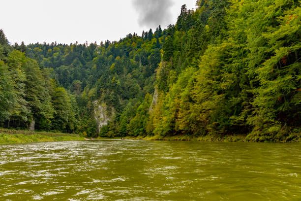 istock The turn of the river Dunajec 1096923206