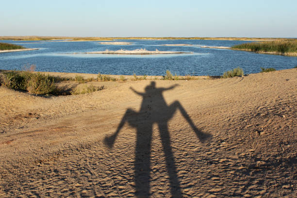 This is the situation along the coast, especially in Hamadori, Fukushima Prefecture in 2017.
