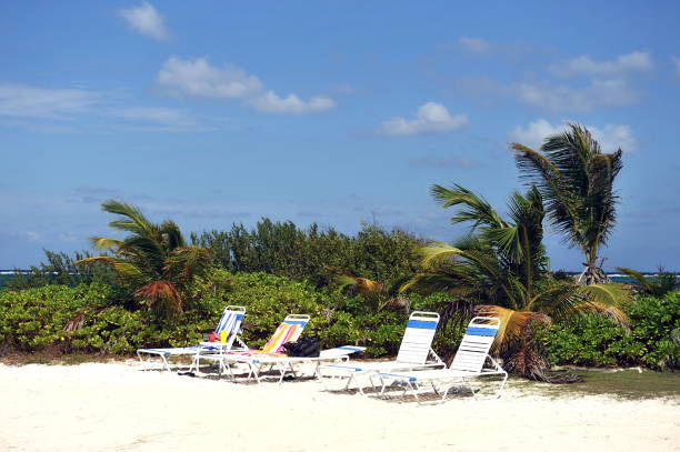 istock Palm trees, sea, beach. 1096931526