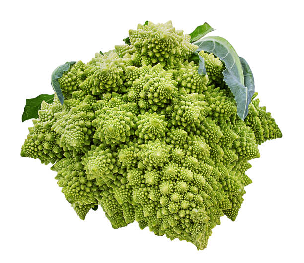 istock Roman cauliflower isolated on white background with clipping path 1096931654