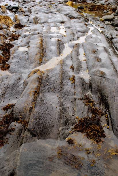 istock English beach Rock pools 1096931782