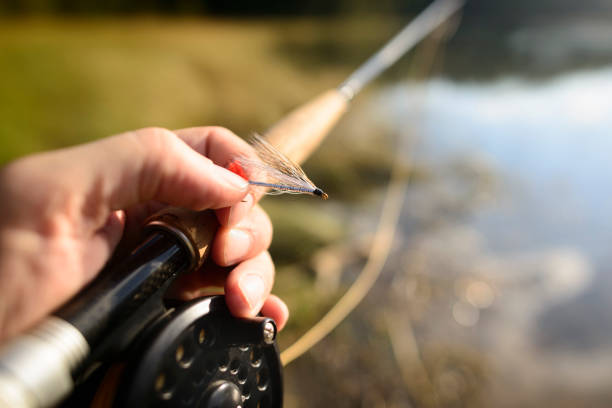 istock Fly Fishing Gear 1096932922
