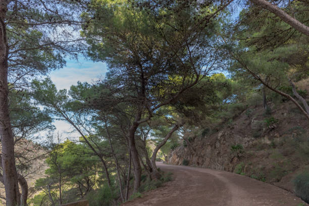 istock Pedestrian road in the mountains. 1096932978