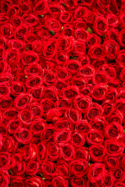 bela decoração vermelha rosa flor artificial - bed of roses fotos - fotografias e filmes do acervo