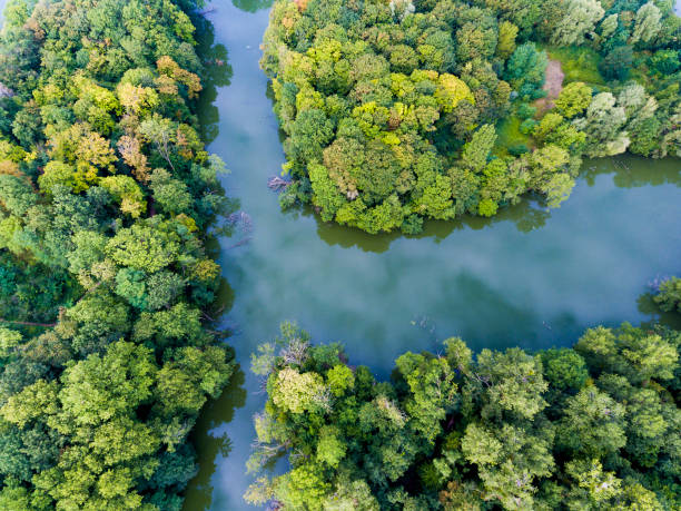 парк и озеро в дравейле, эссонн, иль-де-франс, франция - ile de france фотографии стоковые фото и изображения