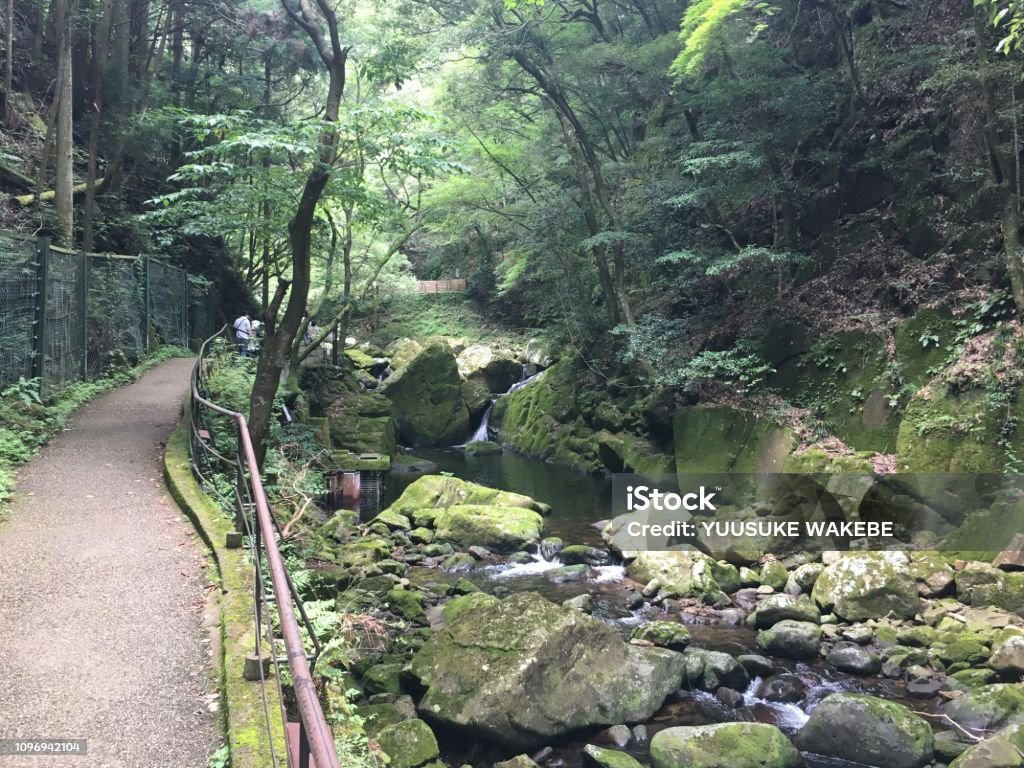 Japan Mie Nabari city forest waterfall Akame Beauty Stock Photo