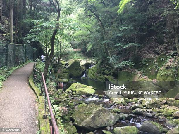 Japan Mie Nabari City Forest Waterfall Akame Stock Photo - Download Image Now - Beauty, Environment, Famous Place