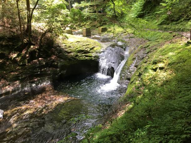 istock Japan Mie Nabari city forest waterfall Akame 1096942320